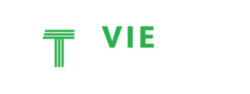 VieTech Training & Consulting Logo